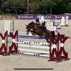 Ecurie Very Jump - Valentin Very, Paley - Horaires d'ouverture