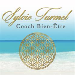 SYLVIE TURMEL, Nice - Horaires d'ouverture