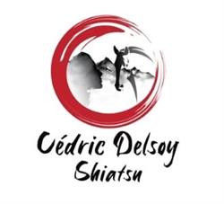 Cédric Delsoy Shiatsu Lyon - Horaires d'ouverture