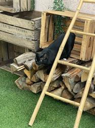 Hotel-cats.com, Paulhan - Horaires d'ouverture