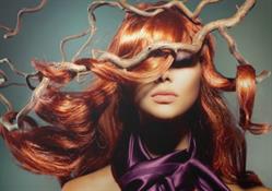 Coiffure la Boucle d'Or, Phalsbourg - Horaires d'ouverture