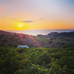 Domaine Tambour, Banyuls-sur-Mer - Horaires d'ouverture