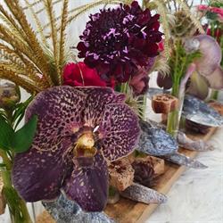 Vanda Formation, Fondettes - Horaires d'ouverture