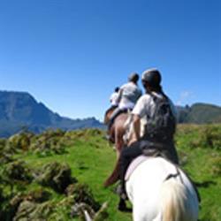 Les Chevaux du Maïdo, Saint-Paul - Horaires d'ouverture