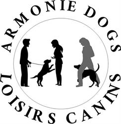 Armonie Dogs, Malaunay - Horaires d'ouverture
