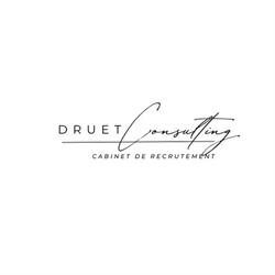 Druet Consulting, Côtebrune - Horaires d'ouverture