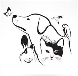 Rivercoons, Saint-Bonnet-la-Rivière - Horaires d'ouverture