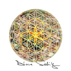 Diane Schilz, Lille - Horaires d'ouverture