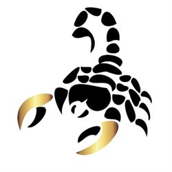 LC Security, Saint-Germain-en-Laye - Horaires d'ouverture