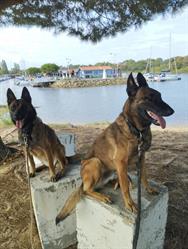 Antho Educanine, Mouy-sur-Seine - Horaires d'ouverture