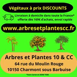 Valerie Maille, Charmont-sous-Barbuise - Horaires d'ouverture