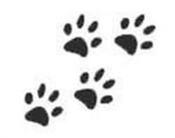 PRO- CANIN éducation canine, Epagny Metz-Tessy - Horaires d'ouverture