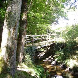 Gîtes Moulin de Feuyas, Saint-Romain-et-Saint-Clément - Horaires d'ouverture