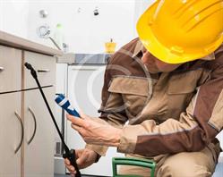 5D Services, Wervicq-Sud - Horaires d'ouverture