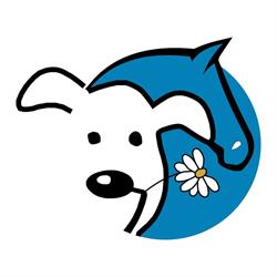 Valérie Gallois - Comportementaliste chiens & chevaux, Pleurtuit - Horaires d'ouverture