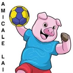 Amicale Laique La Guerche Handball, La Guerche-sur-l'Aubois - Horaires d'ouverture