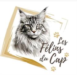 Les Félins du Cap, Contes - Horaires d'ouverture