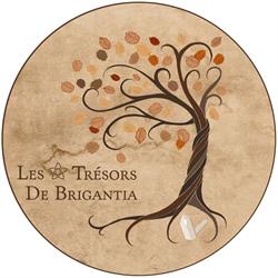 Les trésors de Brigantia, Eringhem - Horaires d'ouverture