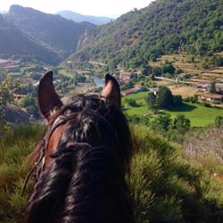 Pray d aunay équitation, Le Chambon-sur-Lignon - Horaires d'ouverture