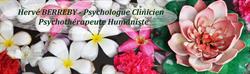 Hervé Berreby Psychologue Clinicien Psychothérapeute Humaniste, Besse-sur-Issole - Horaires d'ouverture