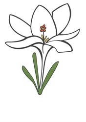 Crocus Blanc, Domont - Horaires d'ouverture