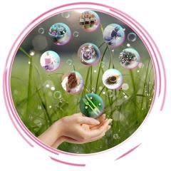 Bulles Zen Petillantes, Castres - Horaires d'ouverture