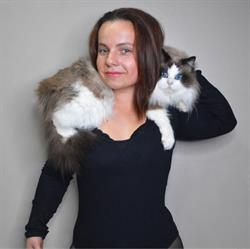 Les Ragdolls de Bozis & Van Katsberg, Serques - Horaires d'ouverture