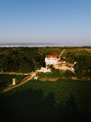 Château de Vaudieu, Châteauneuf-du-Pape - Horaires d'ouverture