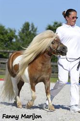 PONEY CLUB Pirouette, Les Repôts - Horaires d'ouverture