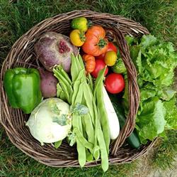 Les Saveurs de la Terre, Lagarde - Horaires d'ouverture