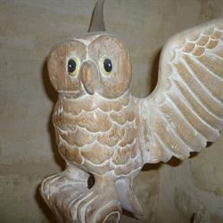 Association Le Jonchet, Cambes - Horaires d'ouverture