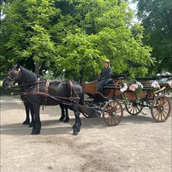 APS Event, Montreuil-aux-Lions - Horaires d'ouverture