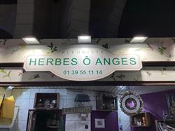 Herbes O Anges, Versailles - Horaires d'ouverture