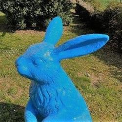 Gîte du Lapin Bleu, Coole - Horaires d'ouverture