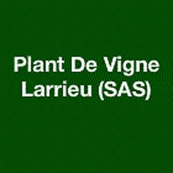 PLANT DE VIGNE LARRIEU, Bahus-Soubiran - Horaires d'ouverture