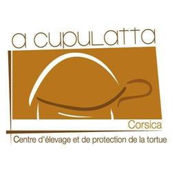 A Cupulatta, Vero - Horaires d'ouverture