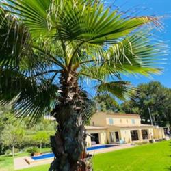 Villa octeau, Cannes - Horaires d'ouverture