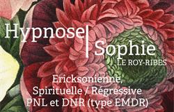 Sophie Le Roy Ribes Hypnose Vannes, - Horaires d'ouverture