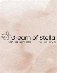 Dream of Stella, Limésy - Horaires d'ouverture