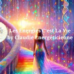 Les Energies C est La Vie, Chaumes-en-Brie - Horaires d'ouverture
