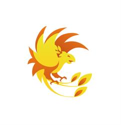 Phenix Sécurité, Lyon - Horaires d'ouverture