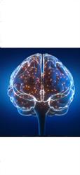 CORDINA PRISCILLE CEREBRAL TRAINING Neurofeedback, Aix-en-Provence - Horaires d'ouverture