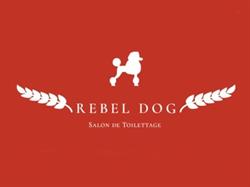 Rebel Dog Salon de Toilettage, Tully - Horaires d'ouverture