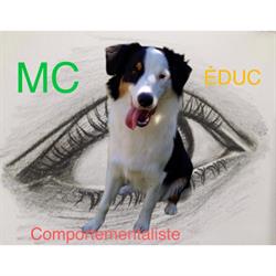 Educateur Comportementaliste Canin, Savigny-sur-Orge - Horaires d'ouverture