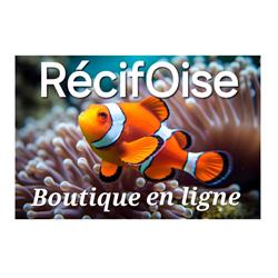 RécifOise, Saint-Vaast-lès-Mello - Horaires d'ouverture