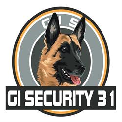 GI SECURITY 31, Toulouse - Horaires d'ouverture