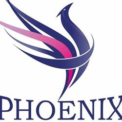 Phoenix Ambulances, Villeparisis - Horaires d'ouverture