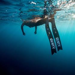 Denty Spearfishing, Leucate - Horaires d'ouverture