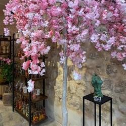 Restaurant La Petite Etoile, Saint-Paul-de-Vence - Horaires d'ouverture