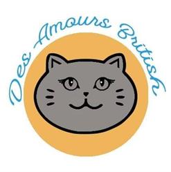 Des Amours British, Gissey-sous-Flavigny - Horaires d'ouverture